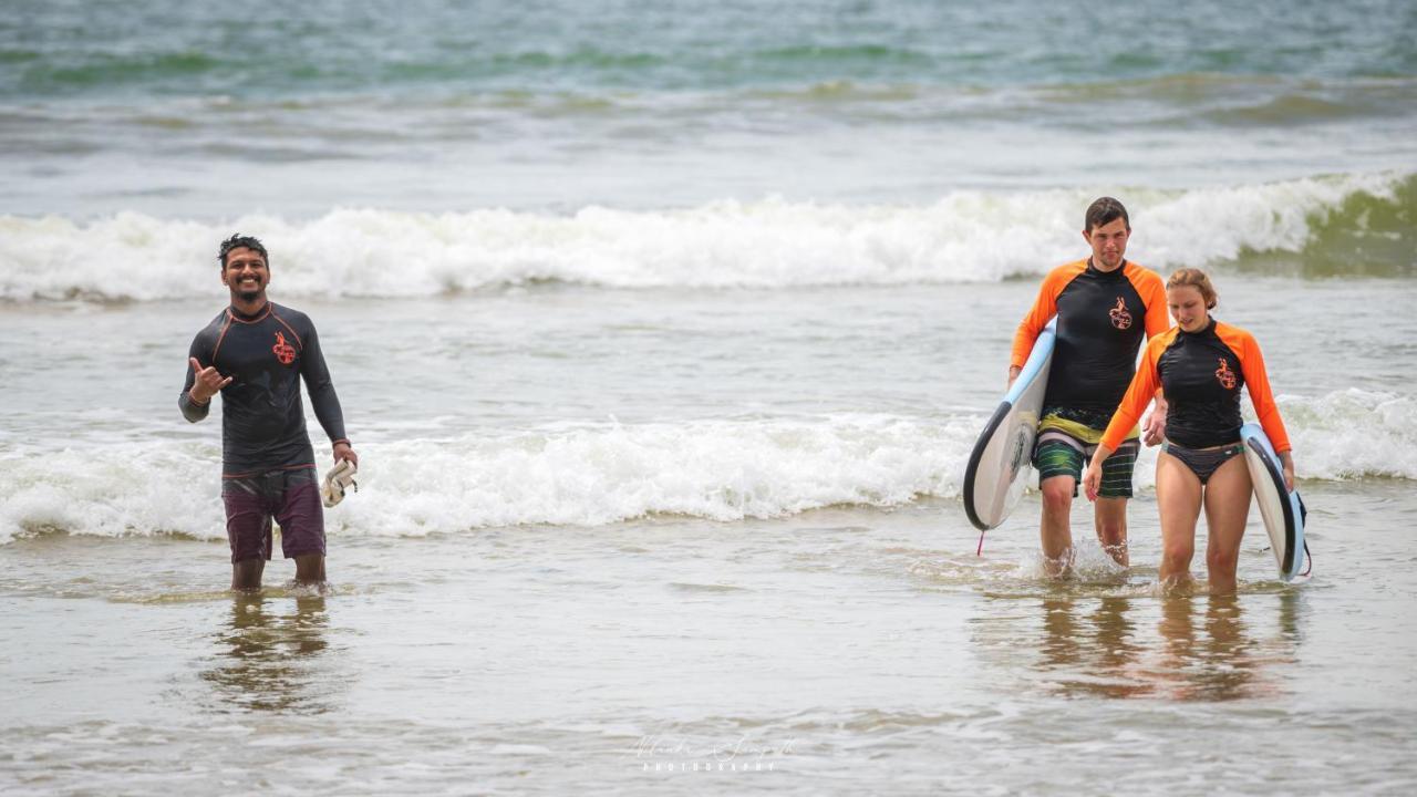 ホテル Surf'N Lanka - Surf School ウェリガマ エクステリア 写真